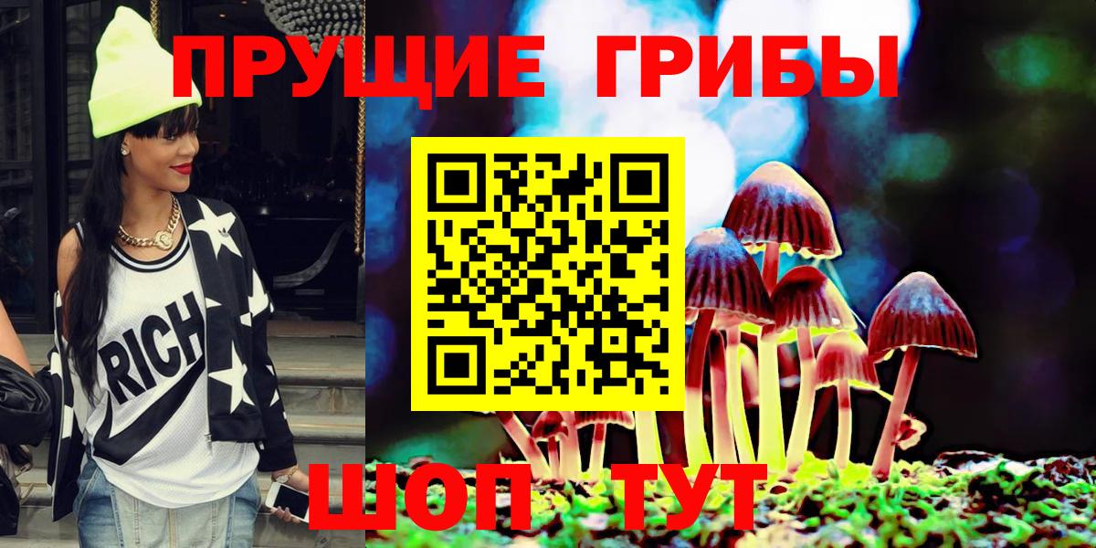Псилоцибиновые грибы Cubensis Бердск
