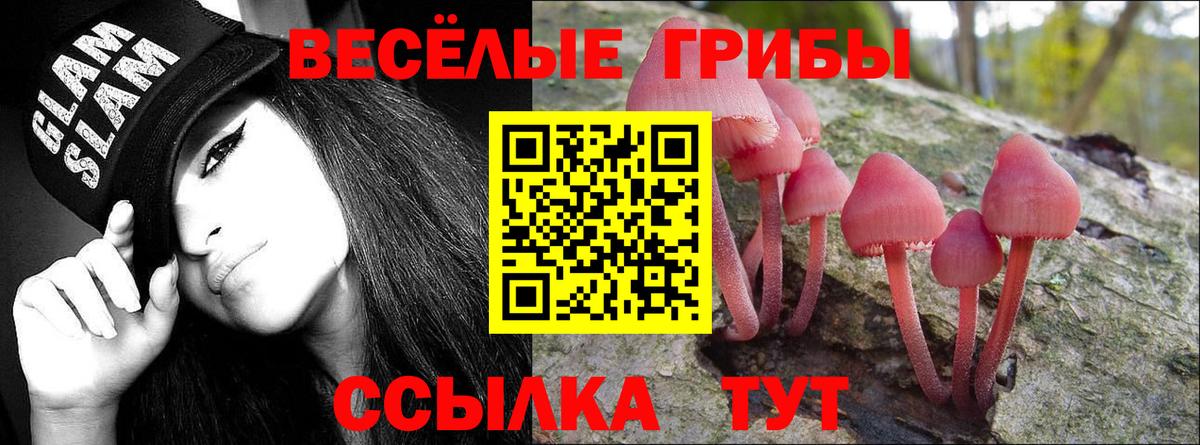 Псилоцибиновые грибы GOLDEN TEACHER  Вход с VPN  Псилоцибиновые грибы MAGIC MUSHROOMS  Бердск 